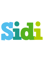 Sidi rainbows logo