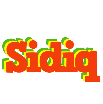 Sidiq bbq logo