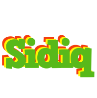 Sidiq crocodile logo