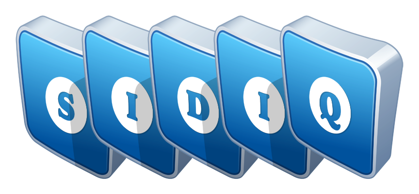Sidiq flippy logo