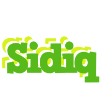 Sidiq picnic logo