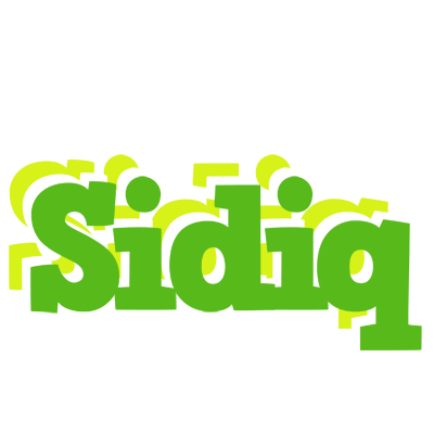 Sidiq picnic logo