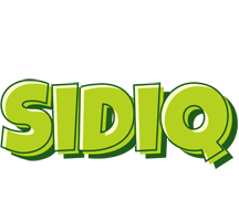 Sidiq summer logo