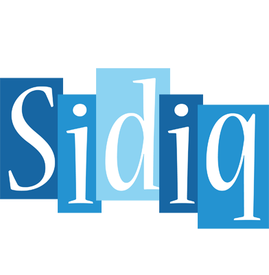Sidiq winter logo