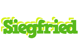 Siegfried picnic logo