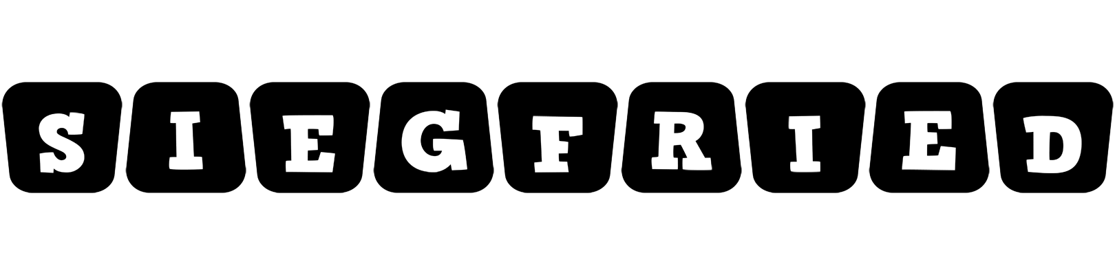 Siegfried racing logo