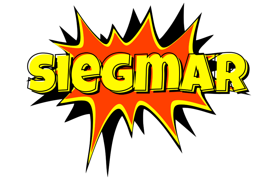Siegmar bazinga logo