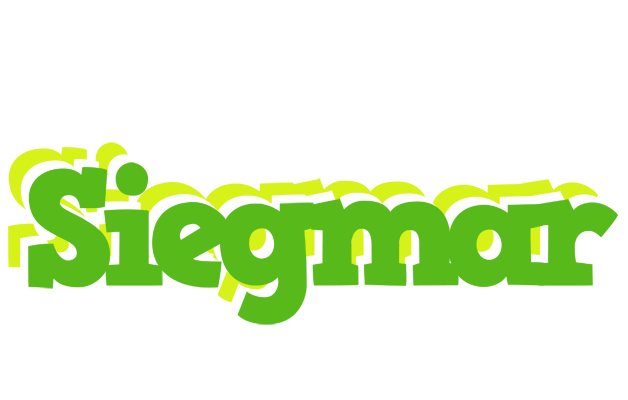 Siegmar picnic logo