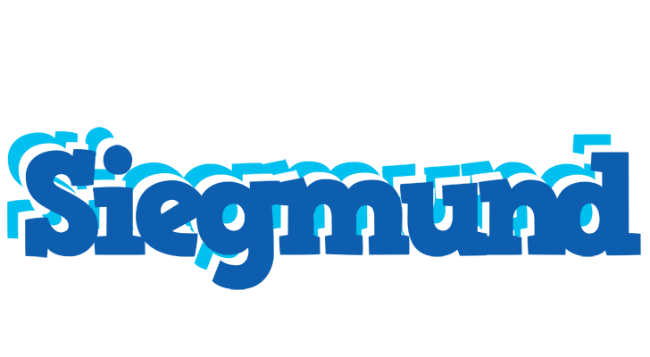 Siegmund business logo