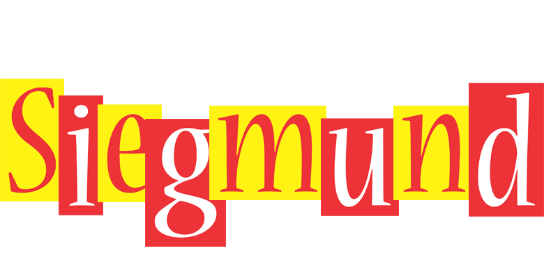 Siegmund errors logo