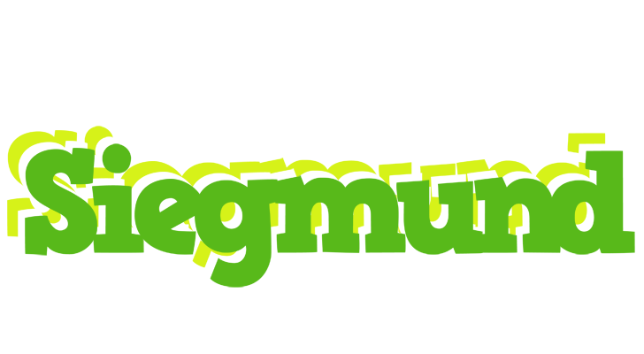 Siegmund picnic logo
