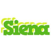 Siena picnic logo