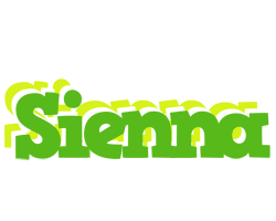 Sienna picnic logo