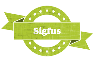 Sigfus change logo