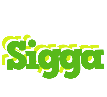 Sigga picnic logo