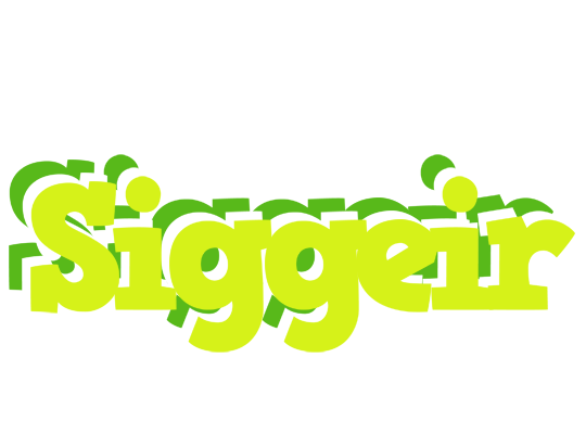 Siggeir citrus logo