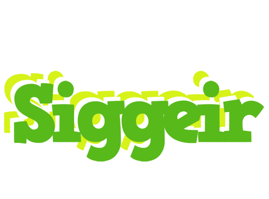 Siggeir picnic logo