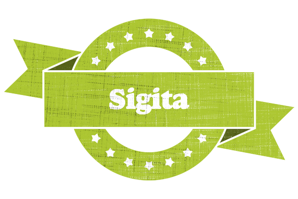 Sigita change logo
