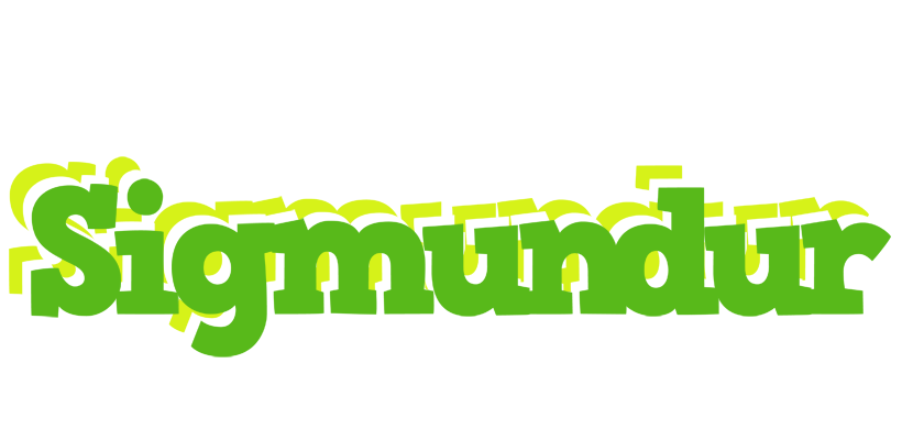 Sigmundur picnic logo