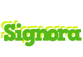 Signora picnic logo