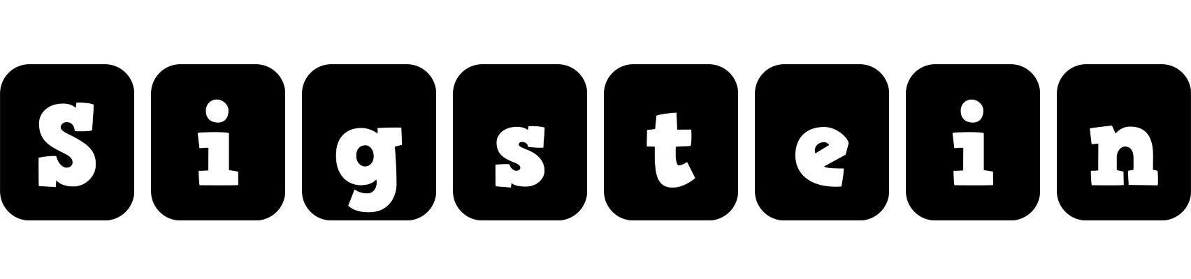 Sigstein box logo