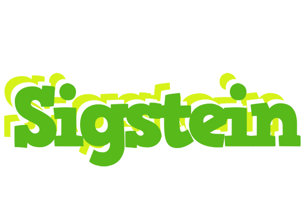 Sigstein picnic logo