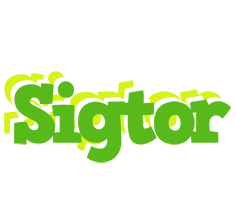 Sigtor picnic logo