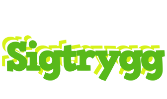 Sigtrygg picnic logo