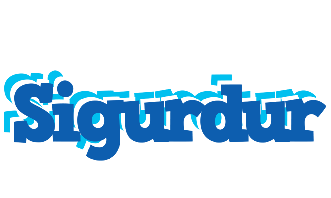 Sigurdur business logo