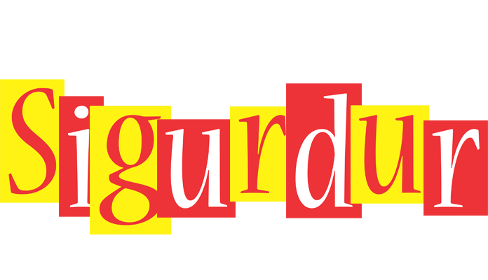 Sigurdur errors logo