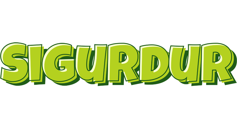 Sigurdur summer logo