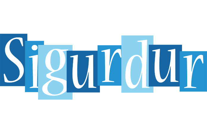 Sigurdur winter logo