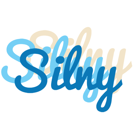 Silny breeze logo