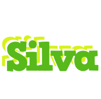 Silva picnic logo