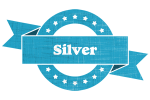 Silver balance logo