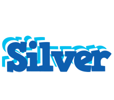 Silver business logo