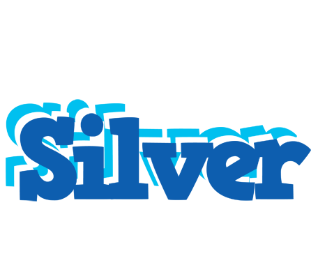 Silver business logo