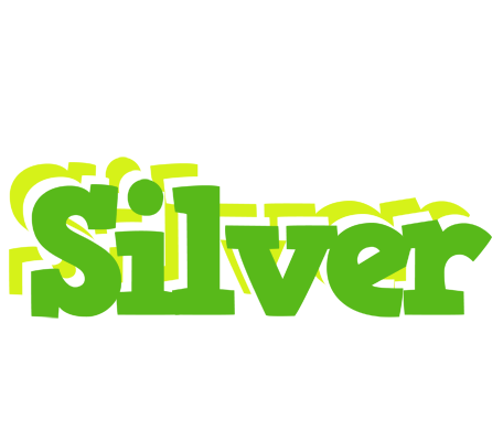 Silver picnic logo