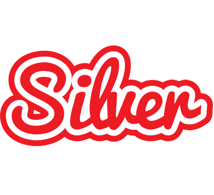 Silver sunshine logo