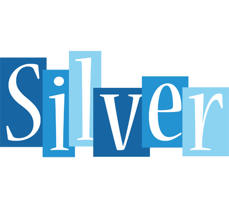 Silver winter logo