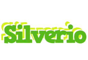 Silverio picnic logo