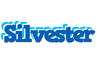 Silvester business logo