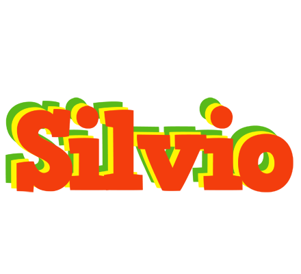 Silvio bbq logo