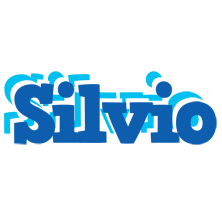 Silvio business logo