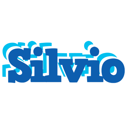 Silvio business logo