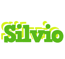 Silvio picnic logo