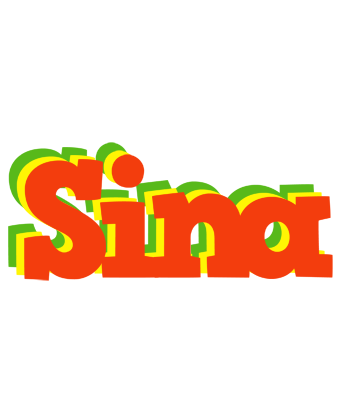Sina bbq logo