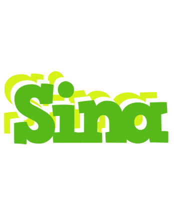 Sina picnic logo