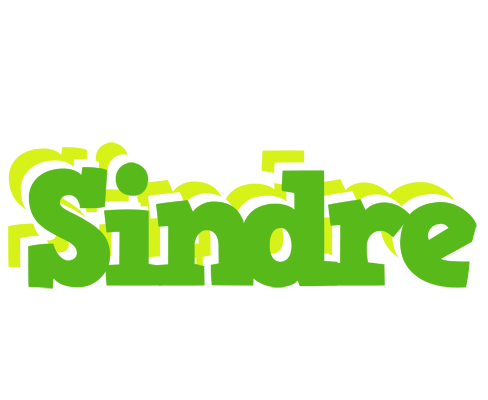 Sindre picnic logo
