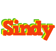 Sindy bbq logo